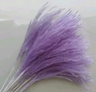 Сухоцвет Пушистая пампасная трава длина 70см сиреневый
