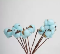 Сухоцвет Хлопок (10шт в 1 букете) 15см Тиффани