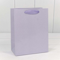 Пакет подарочный "Элегант" Сиреневый 18*23*10 230г 1/20 1/160 Пакет подарочный "Элегант" Сиреневый 18*23*10 230г 1/20 1/160