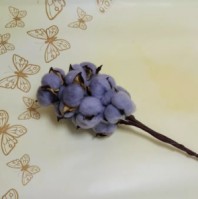 Сухоцвет Хлопок (10шт в 1 букете) 15см ярко- сиреневый