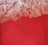 Упак. материал флористическая пленка "Рассвет", 65 мкр, 58 см х 58 cм, 20 листов/упак., красный Упак. материал флористическая пленка "Рассвет", 65 мкр, 58 см х 58 cм, 20 листов/упак., красный