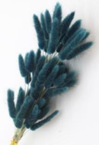 Сухоцвет Лагурус (60шт/пач) изумрудный
