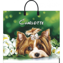 Пакет ПВД с пластиковой ручкой 38*35 Шарлотта 90 мкм, лам 0000003733