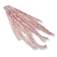 Сухоцвет Эвкалипт Беби Блу 80гр нежно-розовый