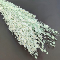 Сухоцвет Лунария 70см 80г тифани