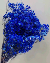Сухоцвет Гипсофила 70-80 см 120 гр королевский синий