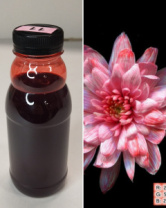 Краска флористическая №11 Красный 0,3 л