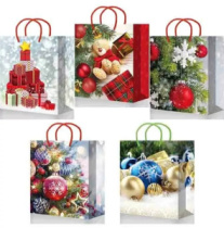 Пакет подарочный ламинированный(180*227*100) 2001/2002/2003/2004/2005 М 