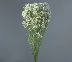 Сухоцвет Каспия 120гр/упак белый