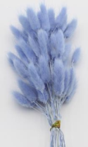 Сухоцвет Лагурус (60шт/пач) туманно-голубой
