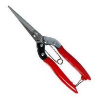 Секатор-ножницы для флористов MC-38, 22см*9см (нержавеющая сталь Х30Сr13) Секатор-ножницы для флористов MC-38, 22см*9см (нержавеющая сталь Х30Сr13)