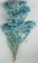 Сухоцвет Рисовый цветок (Диосми), длина 60-70 см, 70 гр., светлый тиффани