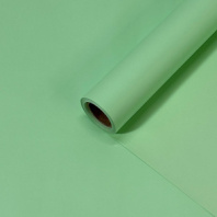 Пленка матовая Корея однотонная двухсторонняя салатовая 48см*10м±5% 50мкр
