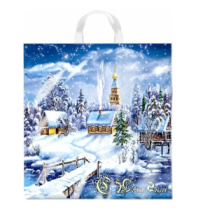 Пакет с петлевой  ручкой 40*42 45мкм Снежное царство НГод 1861/9354