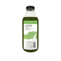 Краситель флористический Лотос 950мл Салатовый