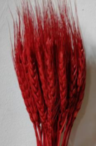 Сухоцвет Пшеница 50-60шт/упак красный