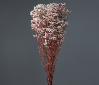 Сухоцвет Каспия 120гр/упак молочный