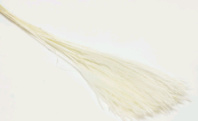 Сухоцвет Пушистая пампасная трава длина 70см  белый