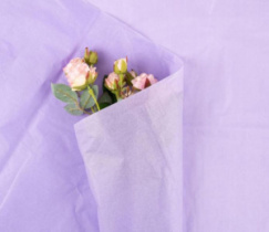 Бумага тишью 50*70см Нежная сирень 253 40 листов т.м 100