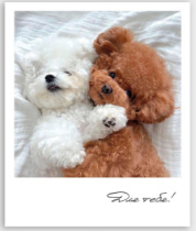 Фото-карточка "Для тебя!"