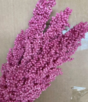 Сухоцвет Сорго, длина 70-80 см, 130-180гр/упак.насыщенный розовый