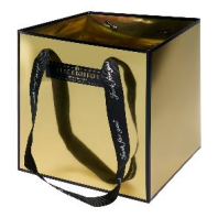 Пластиковая сумка "Mirror" 18*18*18 см цв. Золото Пластиковая сумка "Mirror" 18*18*18 см цв. Золото