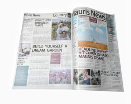 Бумага "Цветочные новости " 50*70 (10листов)  серый