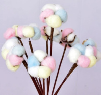 Сухоцвет Хлопок (10шт в 1 букете) 15см Мультиколор