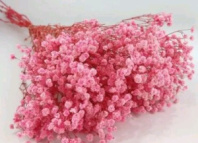 Сухоцвет Гипсофила 70-80 см 120 гр нежно-розовый