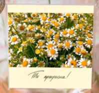 Мини-открытка "Ты прекрасна" Mi011 Мини-открытка "Ты прекрасна" Mi011