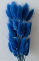 Сухоцвет Лагурус (60шт/пач) синий