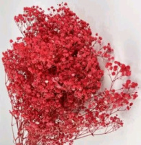 Сухоцвет Гипсофила 70-80 см 120 гр сочный арбуз