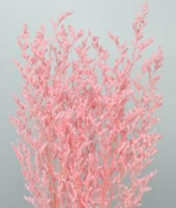 Сухоцвет Лимониум  (3-5 веточки) 100гр светло-розовый