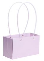Пакет матовый "Мастхэв" прямоугольный 22*10*13см лавандовый Пакет матовый "Мастхэв" прямоугольный 22*10*13см лавандовый