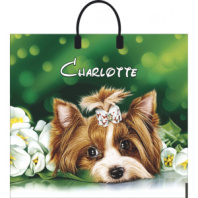 Пакет ПВД с пластиковой ручкой 38*35 Шарлотта 90 мкм, лам 0000003733