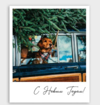 Фото-карточка "С Новым Годом!"