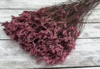 Сухоцвет Каспия 120гр/упак розово-сиреневый