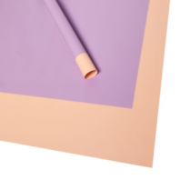 Набор матовой пленки "Дуэт" 10листов, 60см*60см, цв. св. розовый/сиреневый Набор матовой пленки "Дуэт" 10листов, 60см*60см, цв. св. розовый/сиреневый