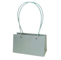 Пакет матовый "Мастхэв" прямоугольный 22*10*13см тиффани лайт