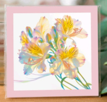 Карточка "Нарциссы" К406