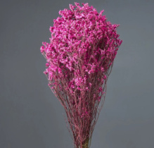 Сухоцвет Каспия 120гр/упак фуксия