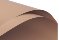 Пленка флористическая "Мечта" 65мкр 57см*57см 20 листов мокка