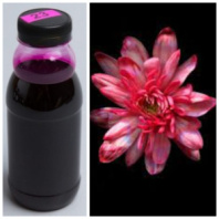 Краска флористическая №23 Рождественский красный 0,3 л.