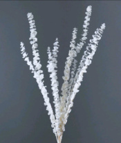 Сухоцвет Эвкалипт Беби Блу 80гр белый