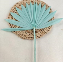 Сухоцвет "Листья солнечной пальмы",25-30 см. тиффани