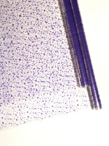 Пленка Мошка фиолетовая 70см*200гр ± 5%