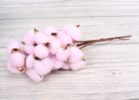 Хлопок (10шт в 1 букете) 15см, Розовый