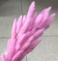 Сухоцвет Лагурус (60шт/пач) розовый-сиреневый