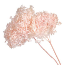 Сухоцвет Гортензия (1 шт. в букете) нежно-розовый