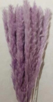 Сухоцвет "Камыш", длина 60-80 см, 15 шт/упак, светло-сиреневый